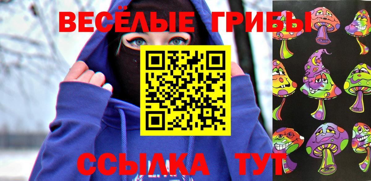 Галлюциногенные грибы Psilocybine cubensis Тайшет